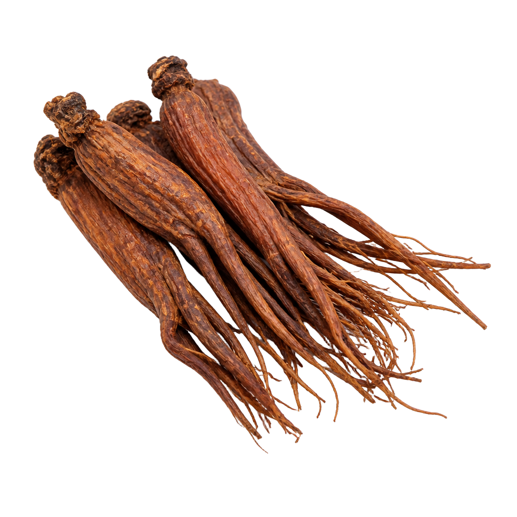 Korean Ginseng