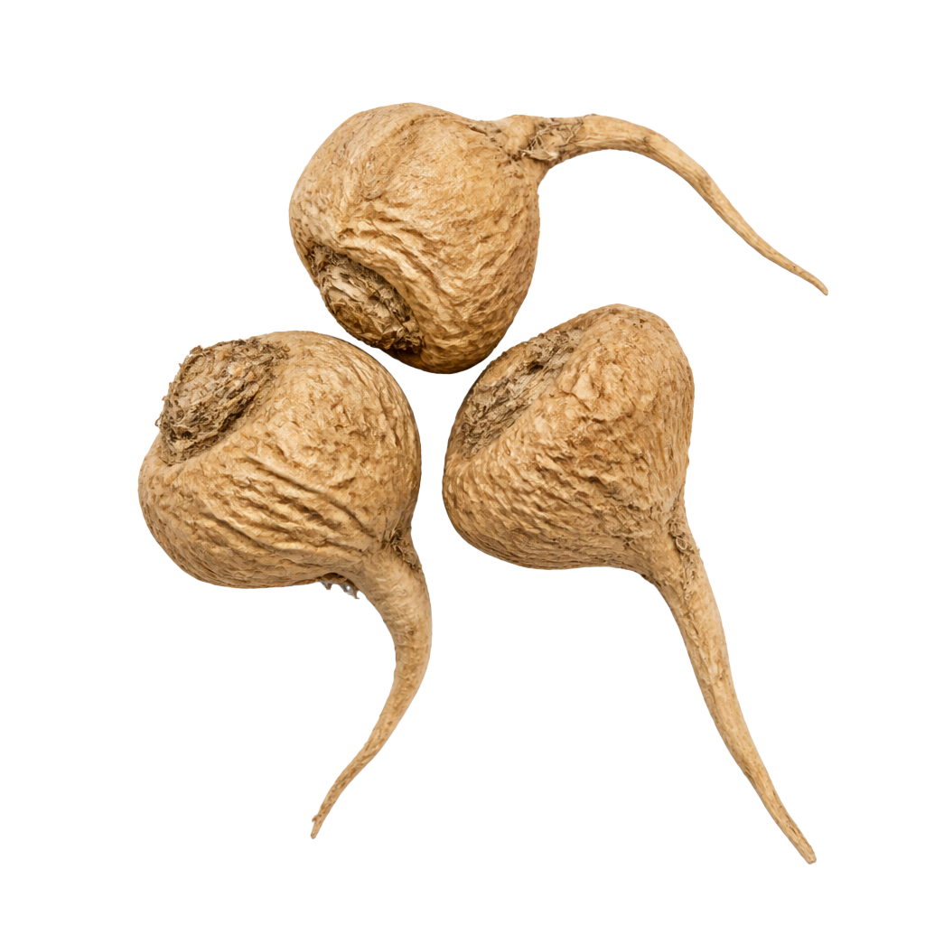 Maca